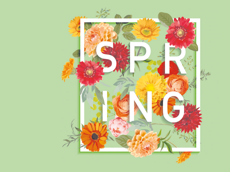 Jetzt blühen euch unsere Frühlingsangebote!